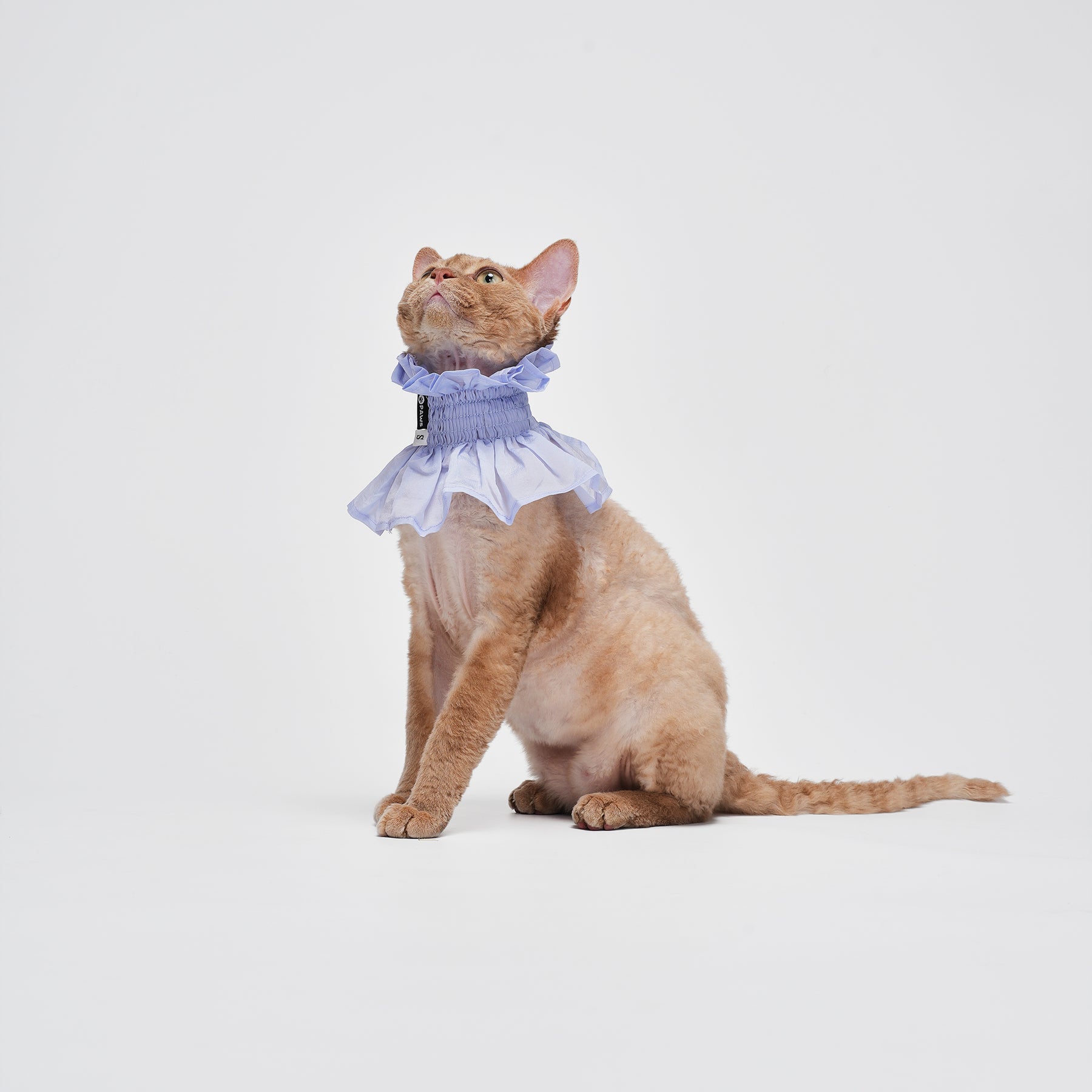 Bloom Multi-Purpose Bibs