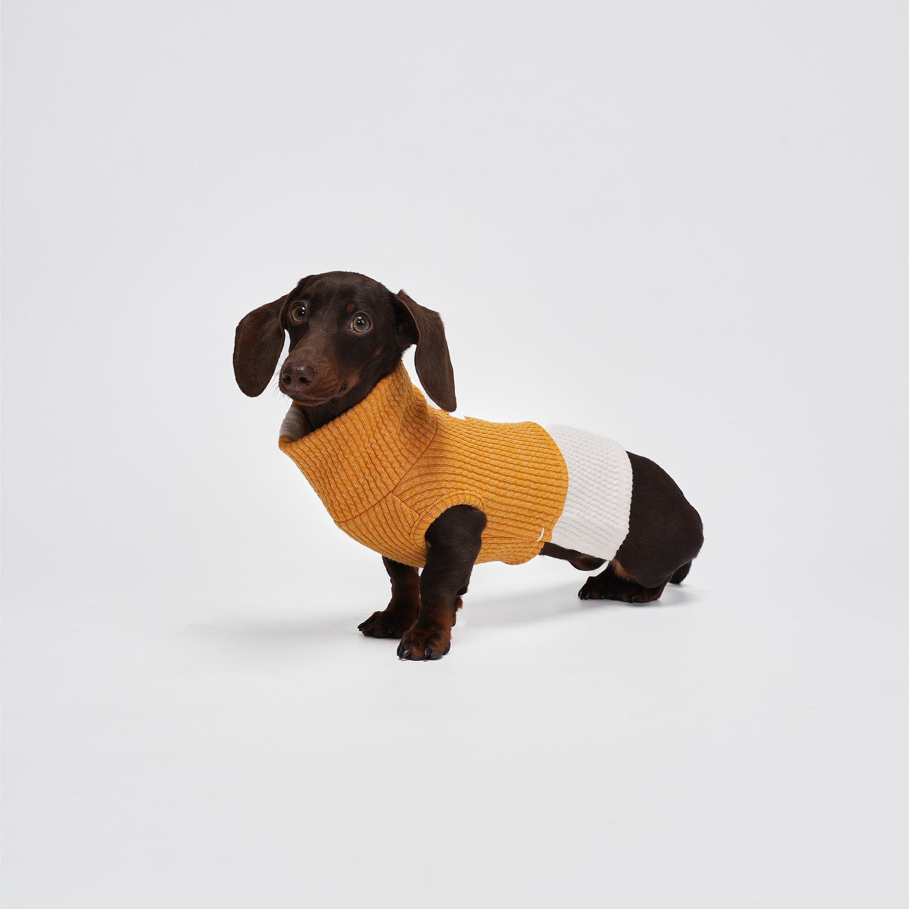 Charger Sports Vest