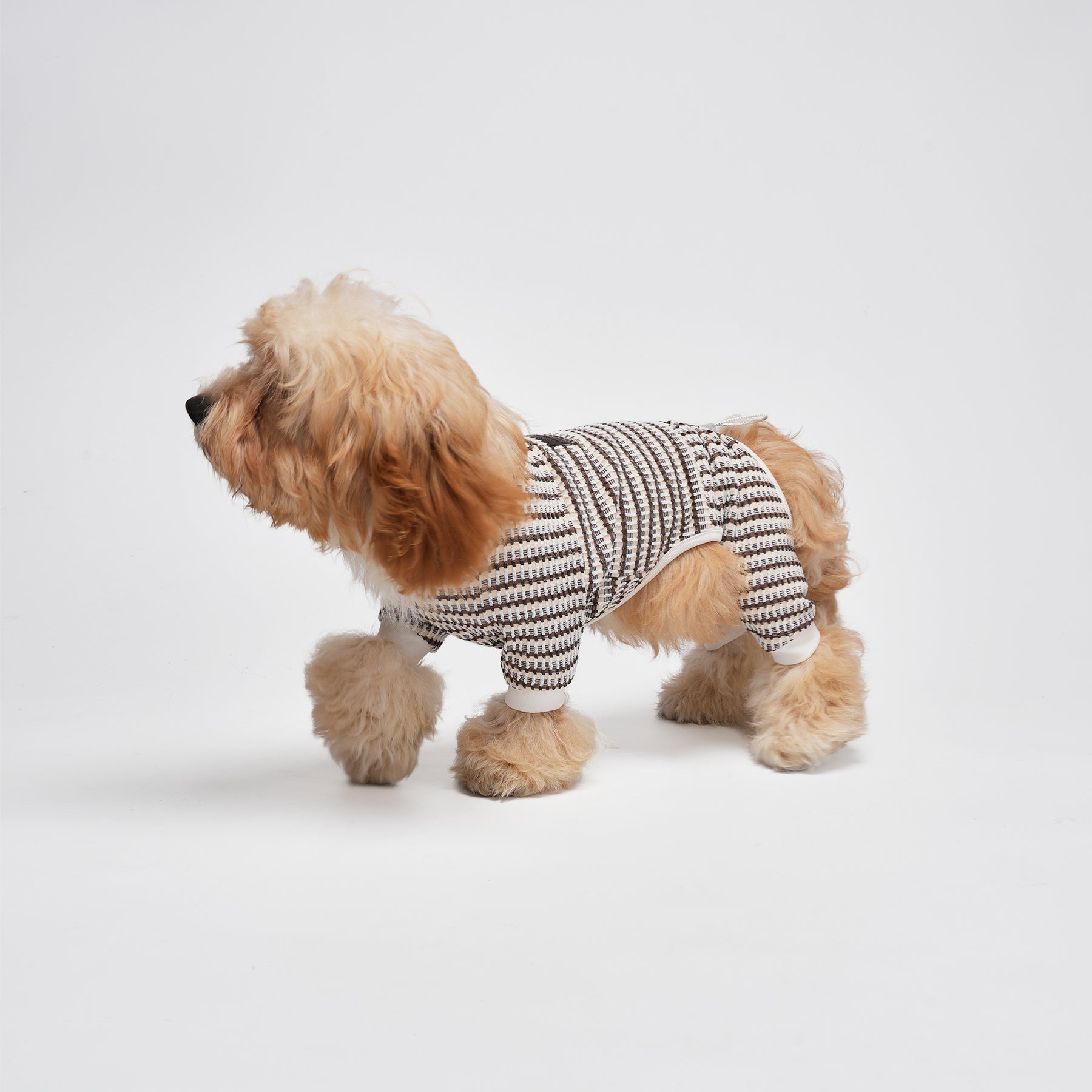 Shover Four-leg Jacket