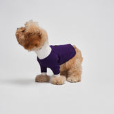 G-D French Turtleneck Sweatshirt