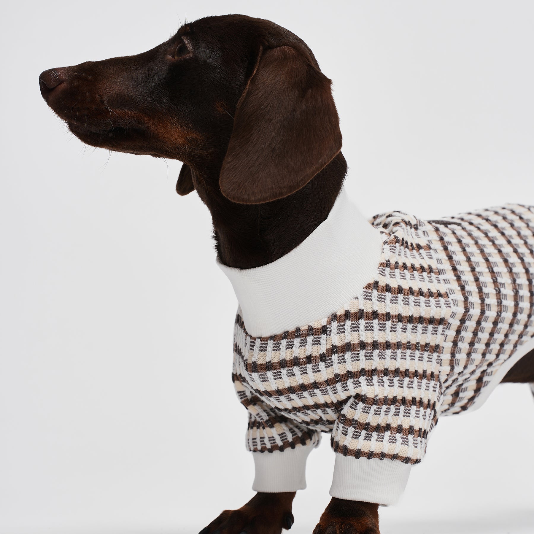 Shover Four-leg Jacket