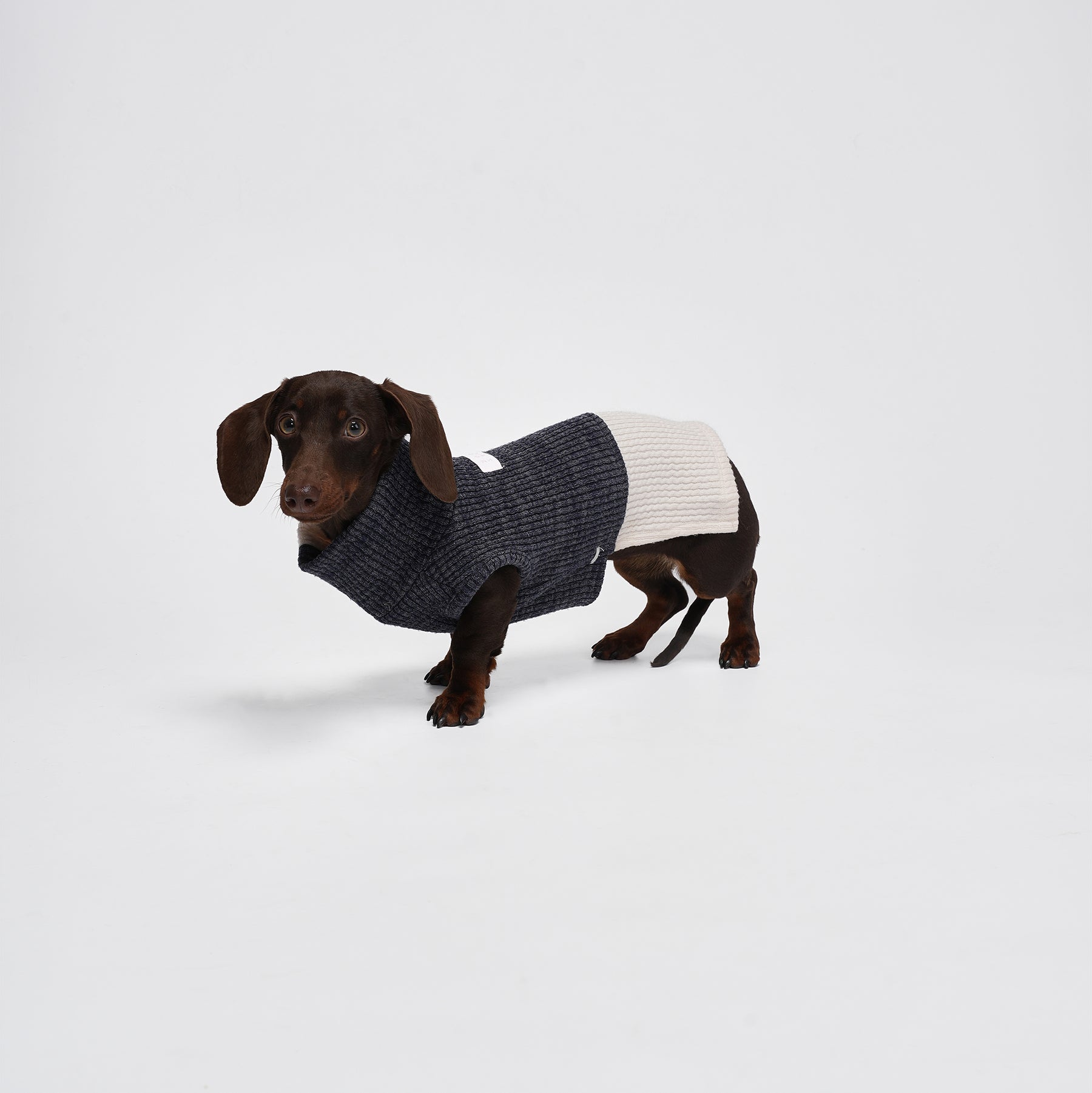 Charger Sports Vest