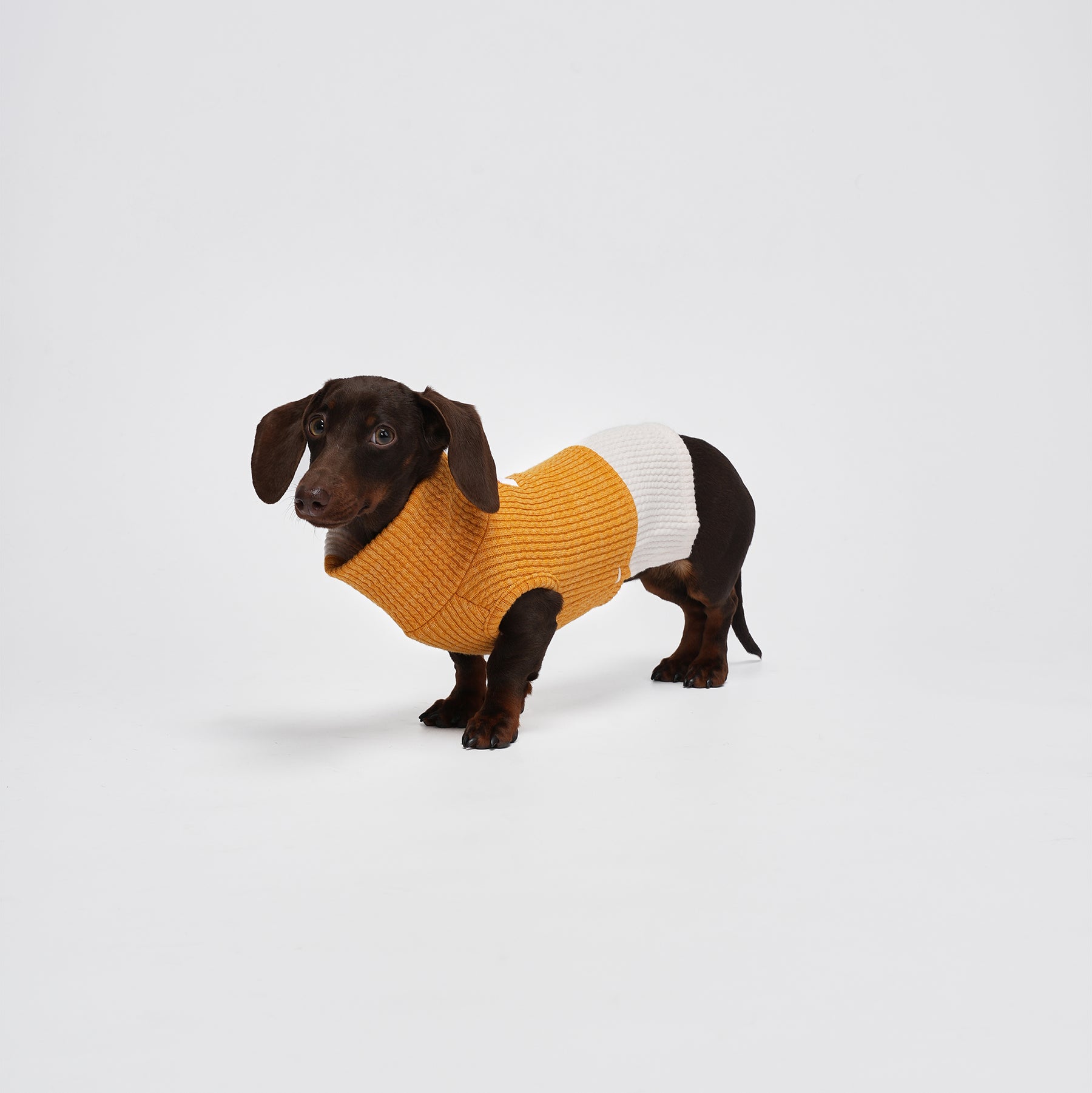 Charger Sports Vest