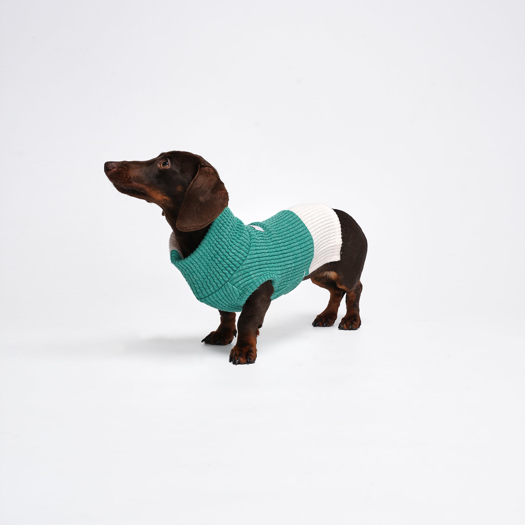 Charger Sports Vest