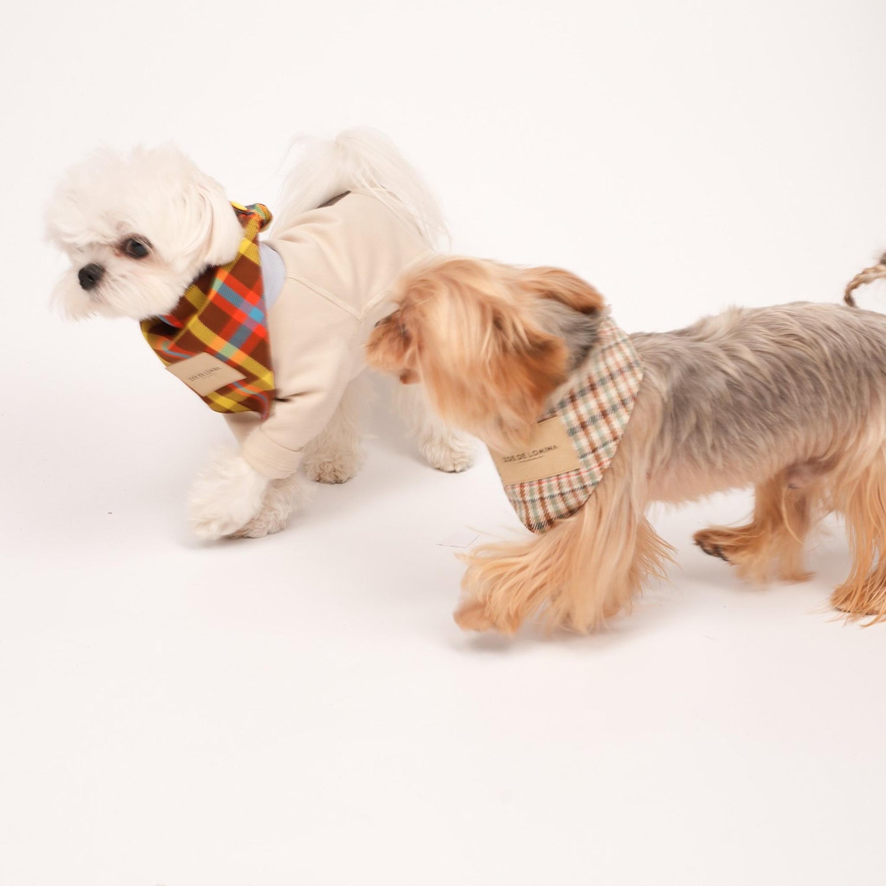 Qguard Sanitary Bibs