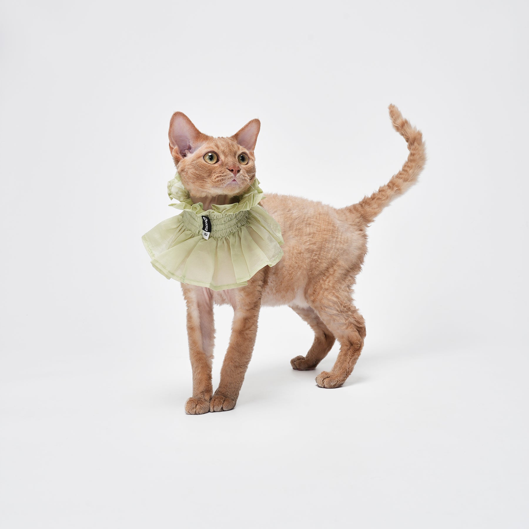 Bloom Multi-Purpose Bibs