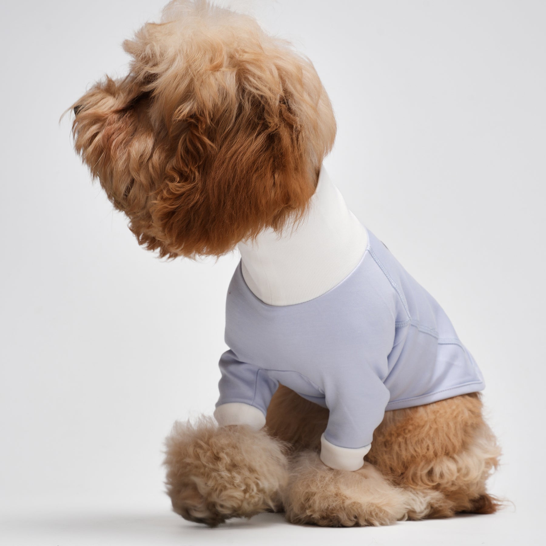 G-D French Turtleneck Sweatshirt