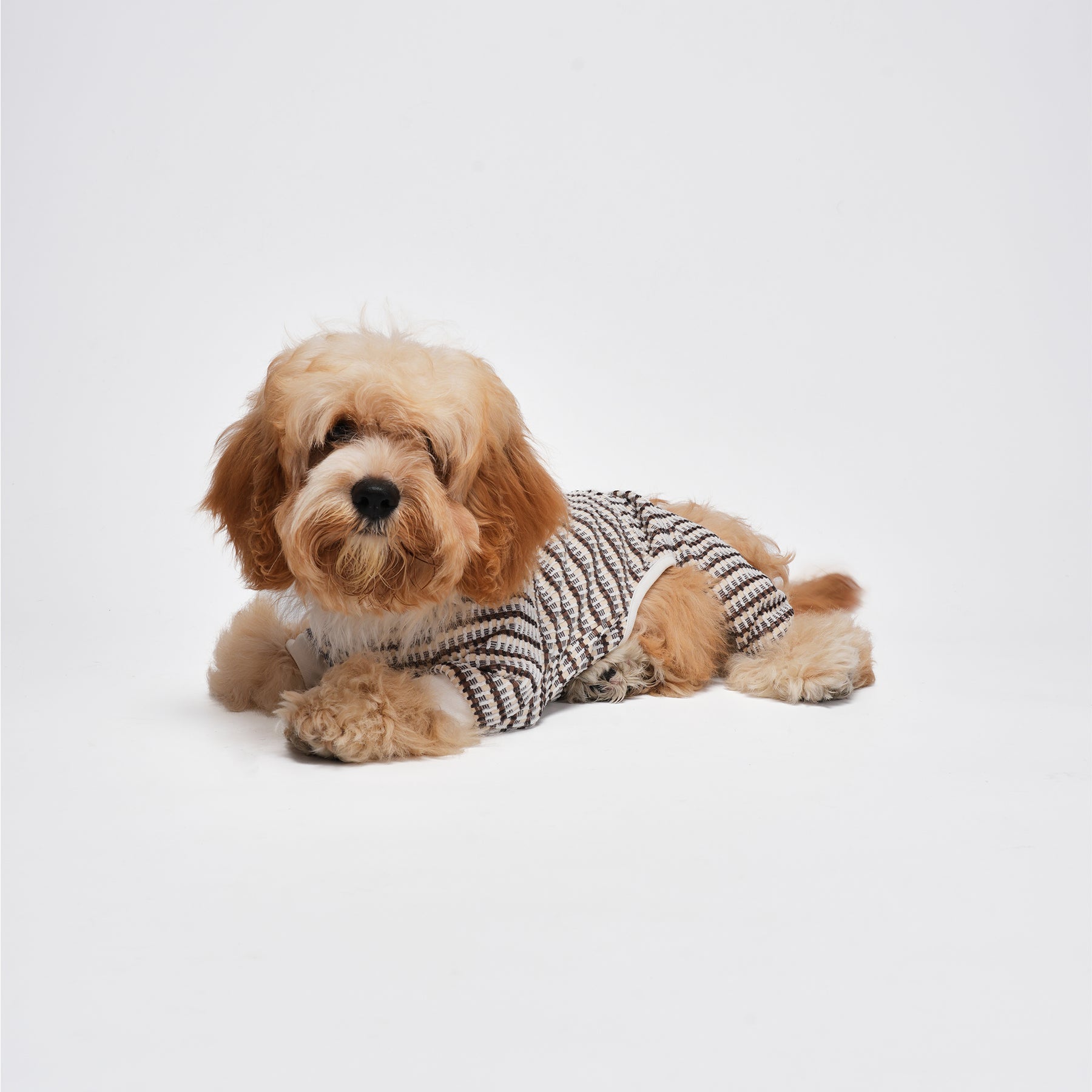 Shover Four-leg Jacket