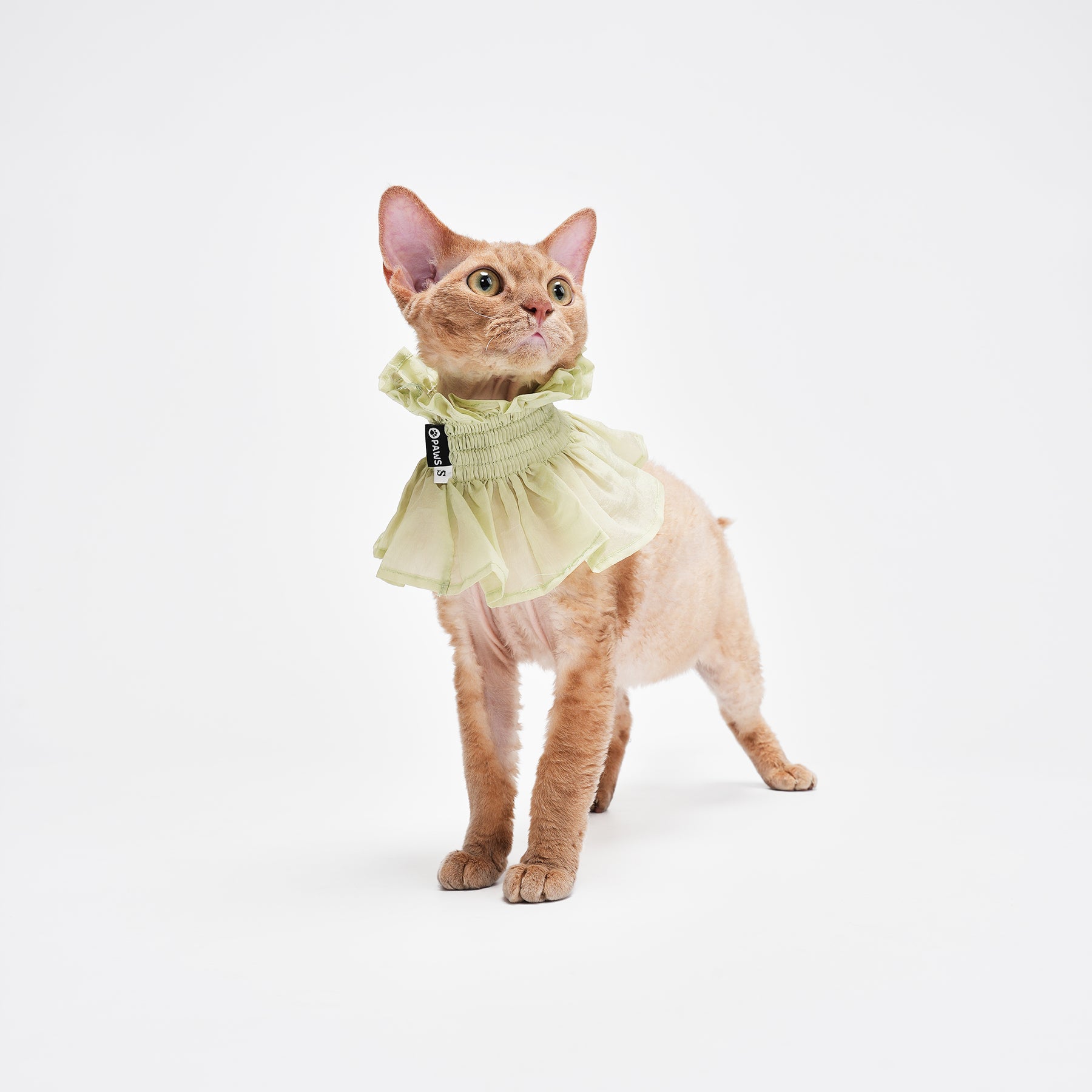 Bloom Multi-Purpose Bibs