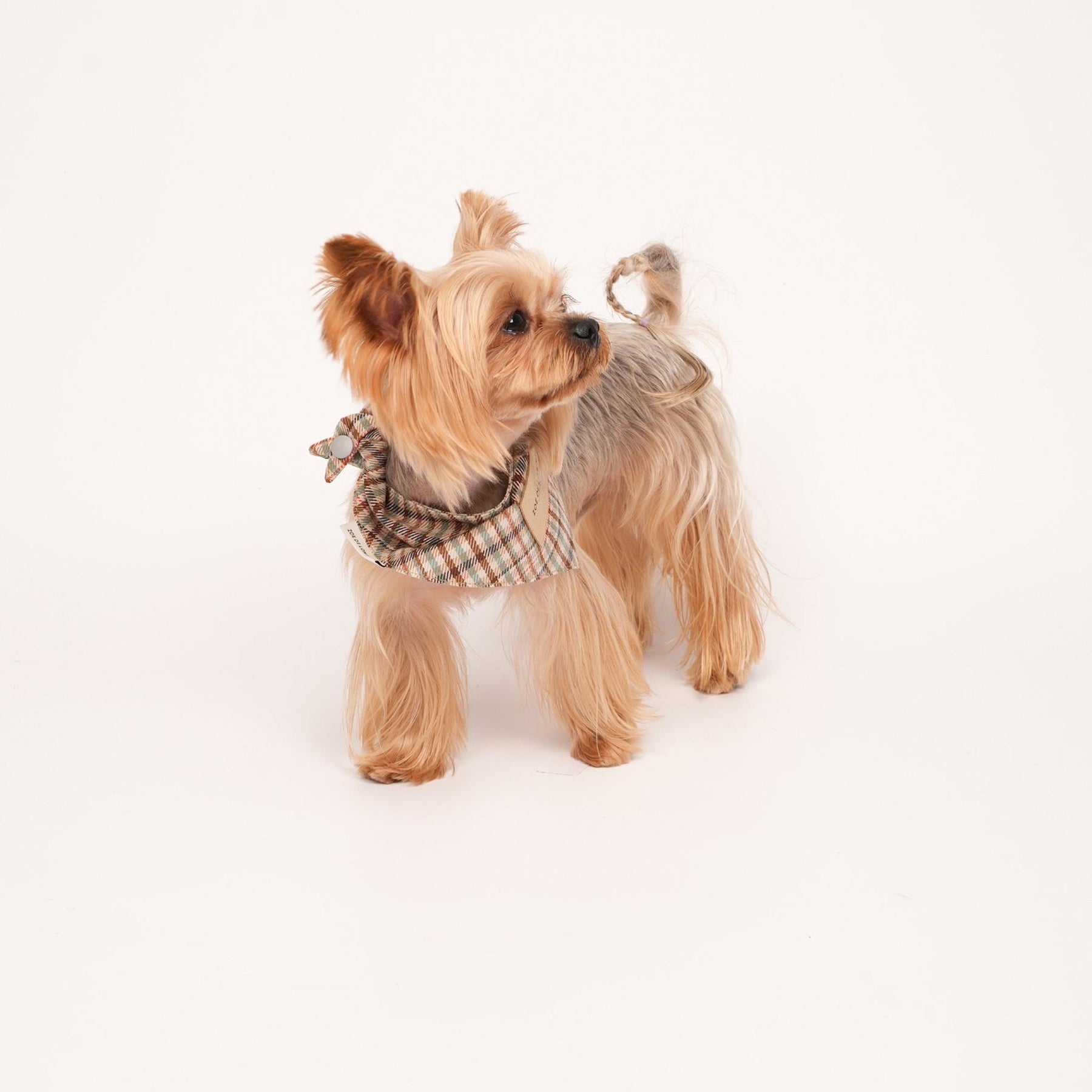 Qguard Sanitary Bibs