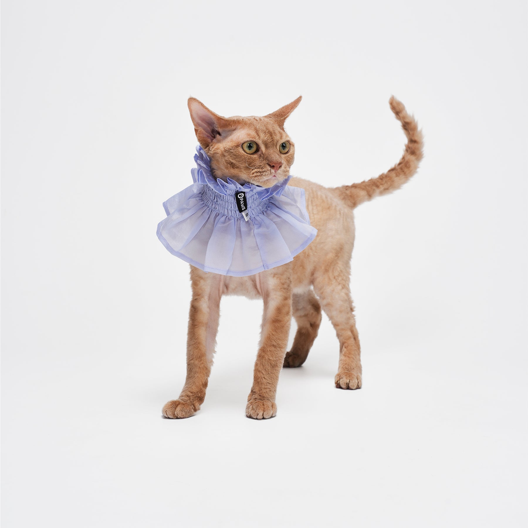 Bloom Multi-Purpose Bibs