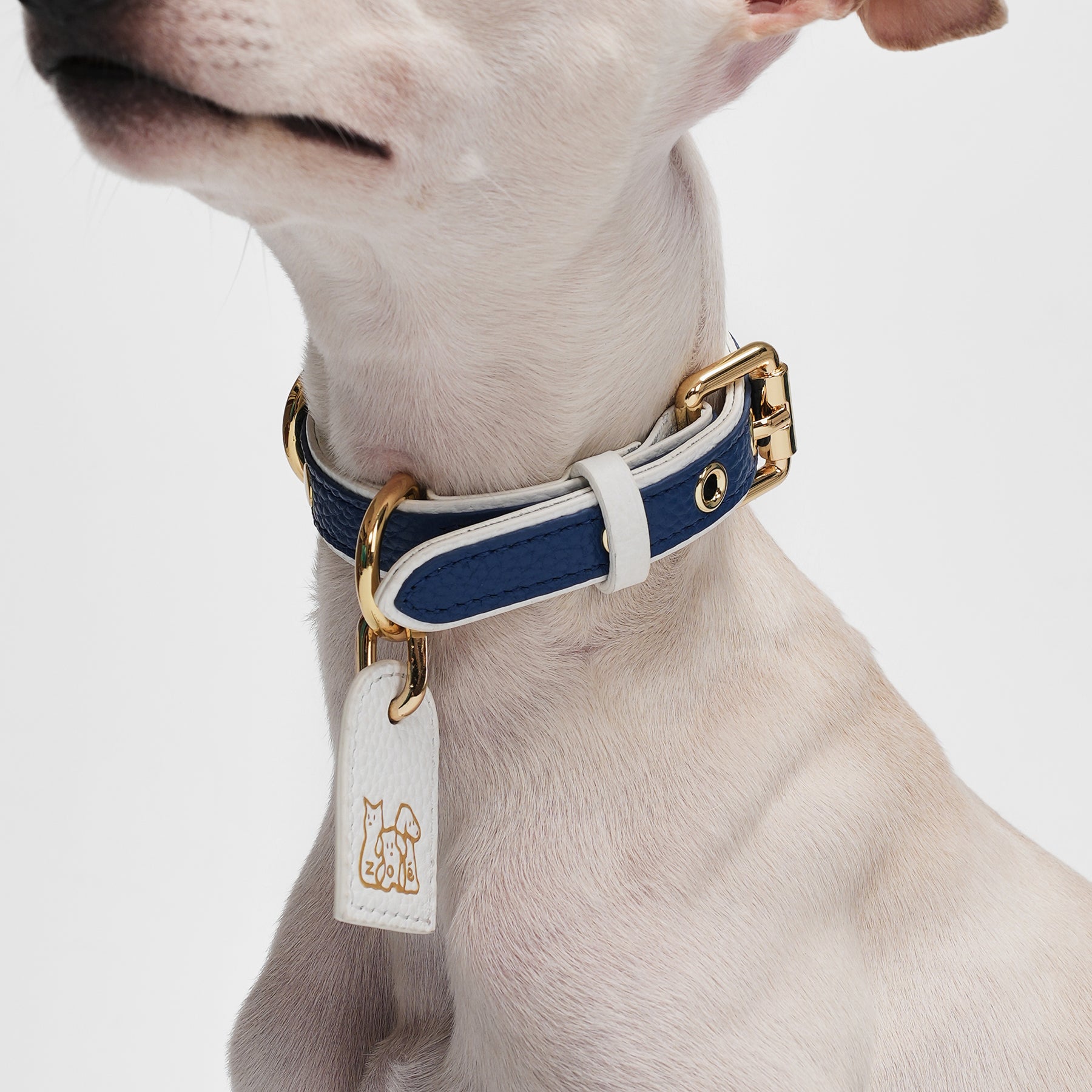 Le Symbole Pet Collar