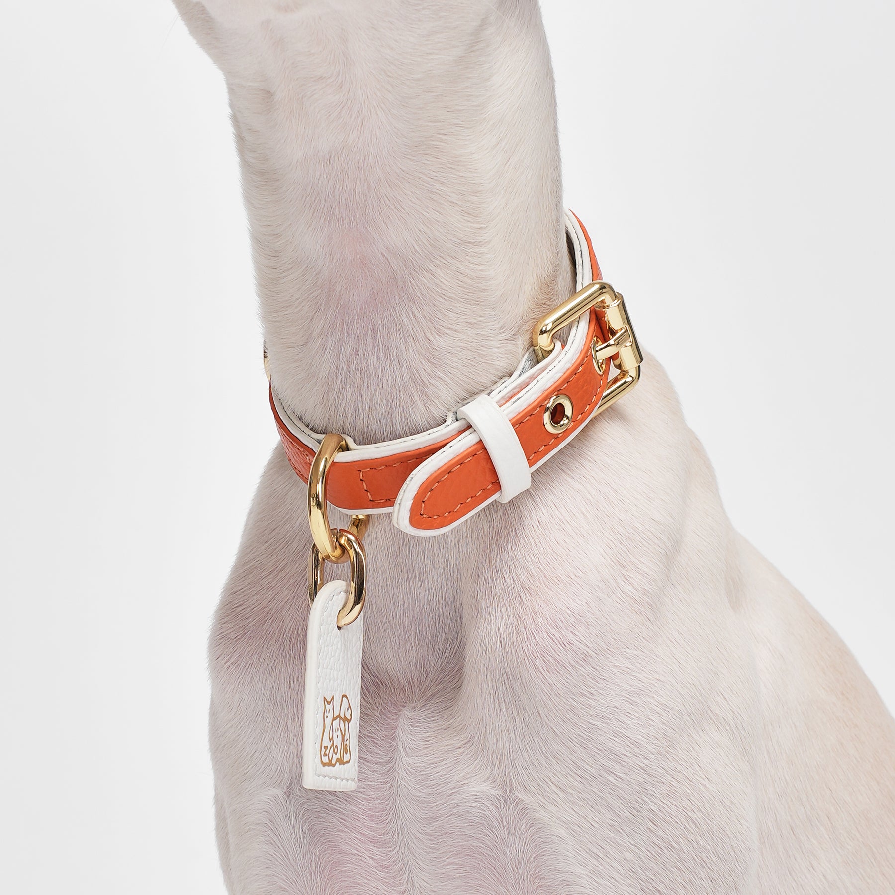 Le Symbole Pet Collar
