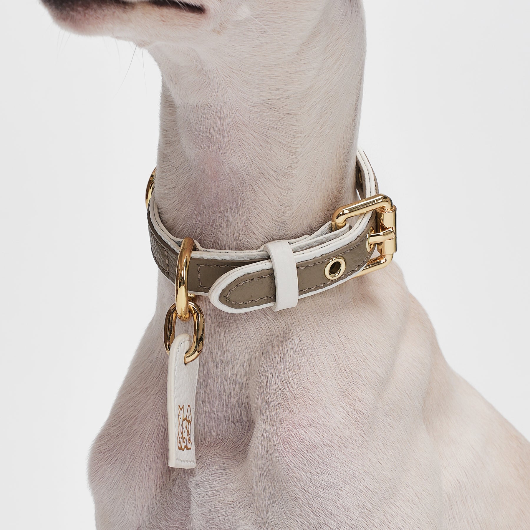 Le Symbole Pet Collar
