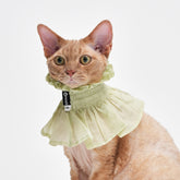 Bloom Multi-Purpose Bibs