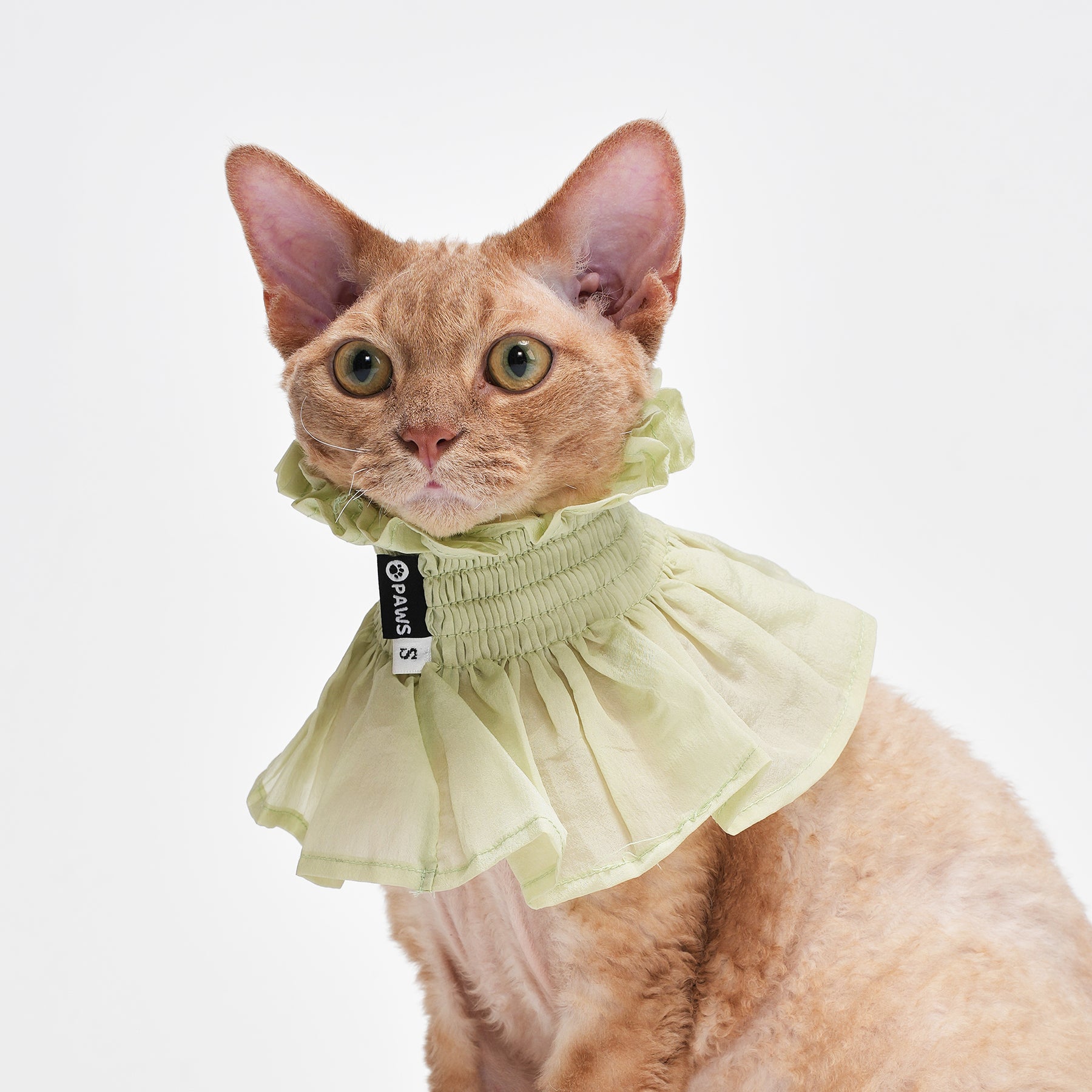 Bloom Multi-Purpose Bibs