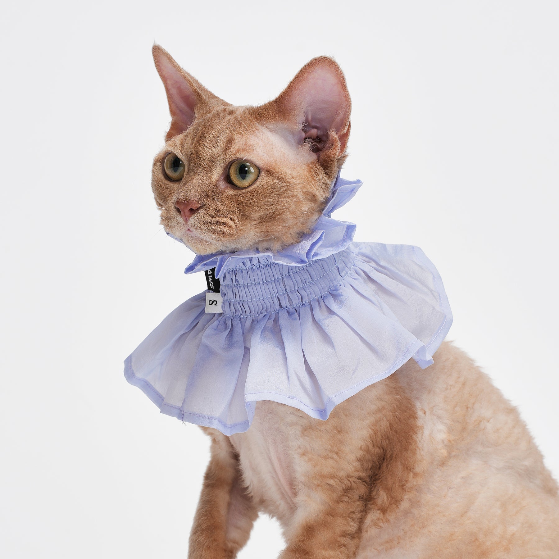 Bloom Multi-Purpose Bibs