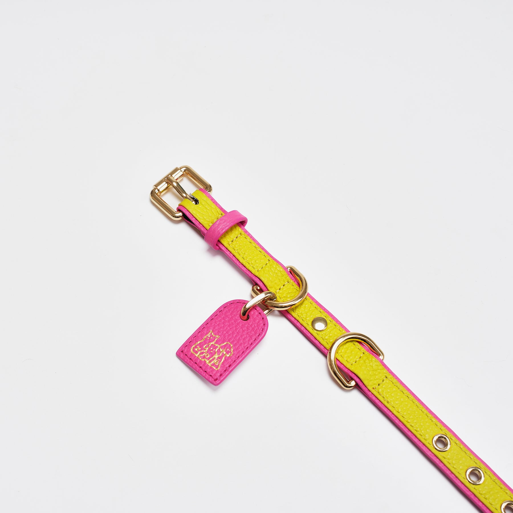 Le Symbole Pet Collar