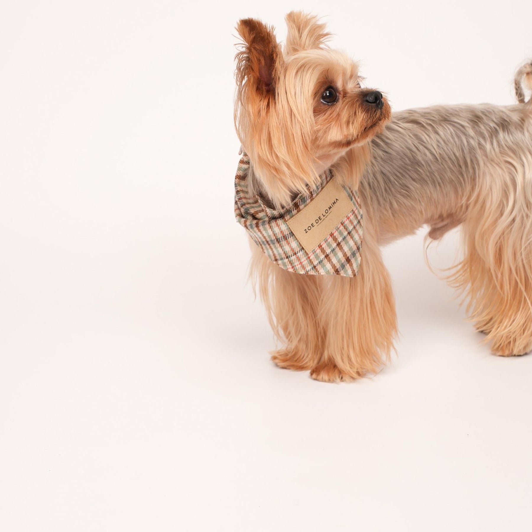 Qguard Sanitary Bibs