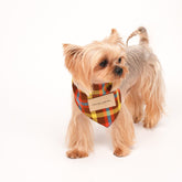 Qguard Sanitary Bibs