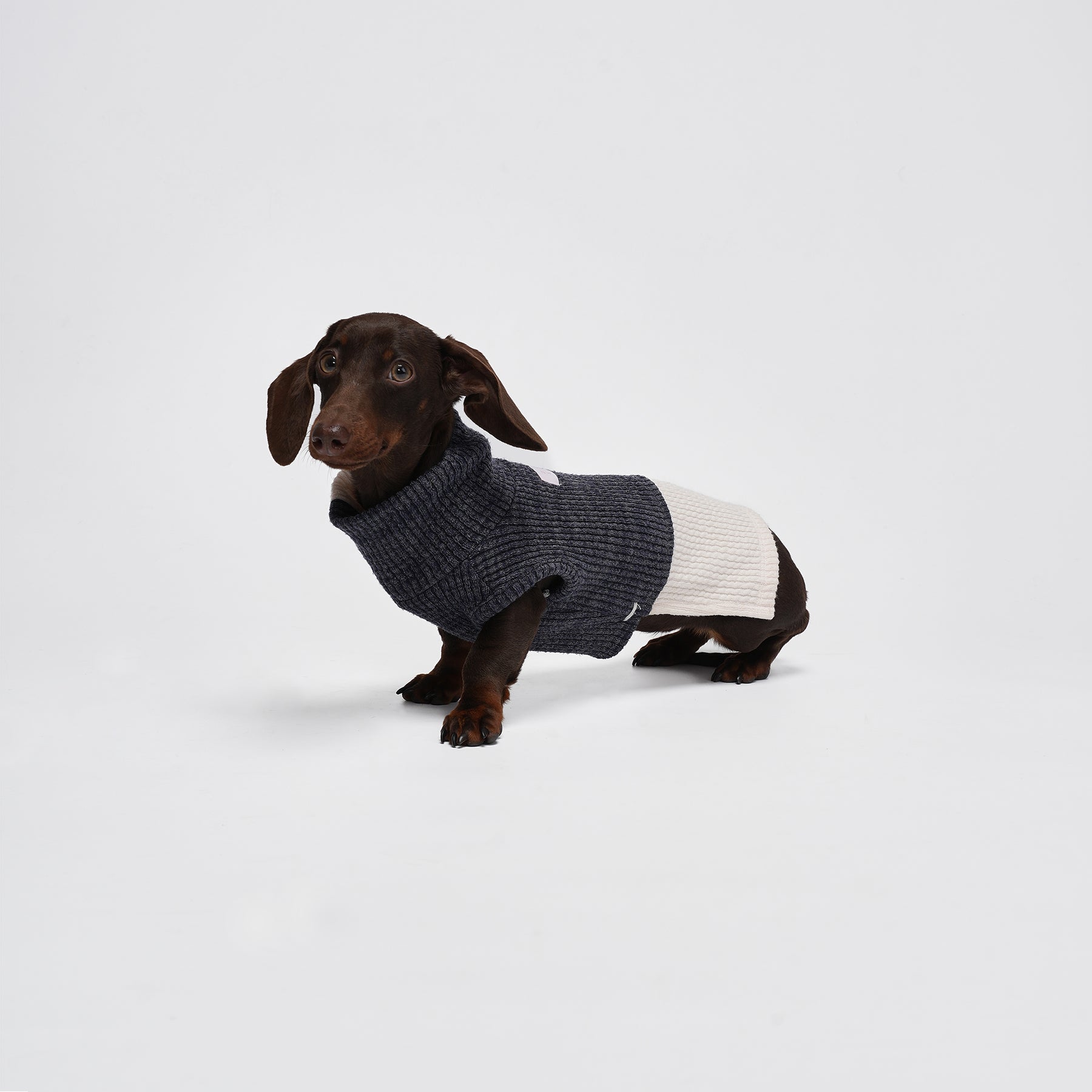 Charger Sports Vest