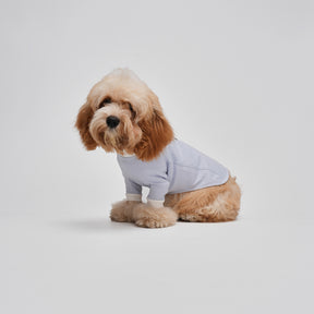 G-D French Turtleneck Sweatshirt