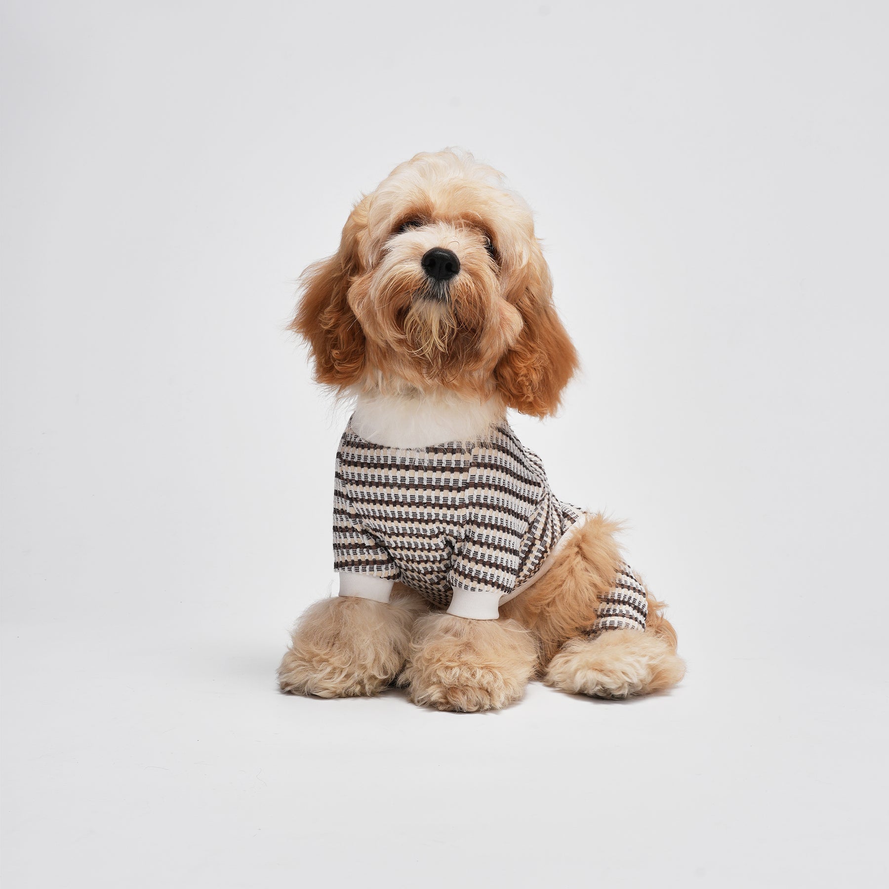 Shover Four-leg Jacket