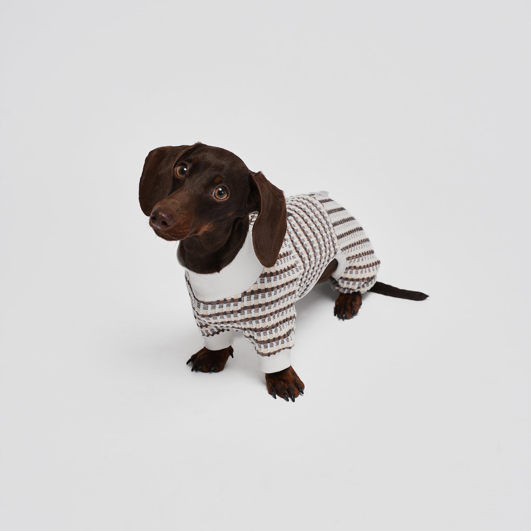 Shover Four-leg Jacket