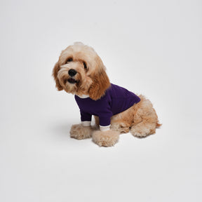 G-D French Turtleneck Sweatshirt