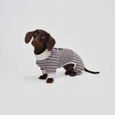 Shover Four-leg Jacket