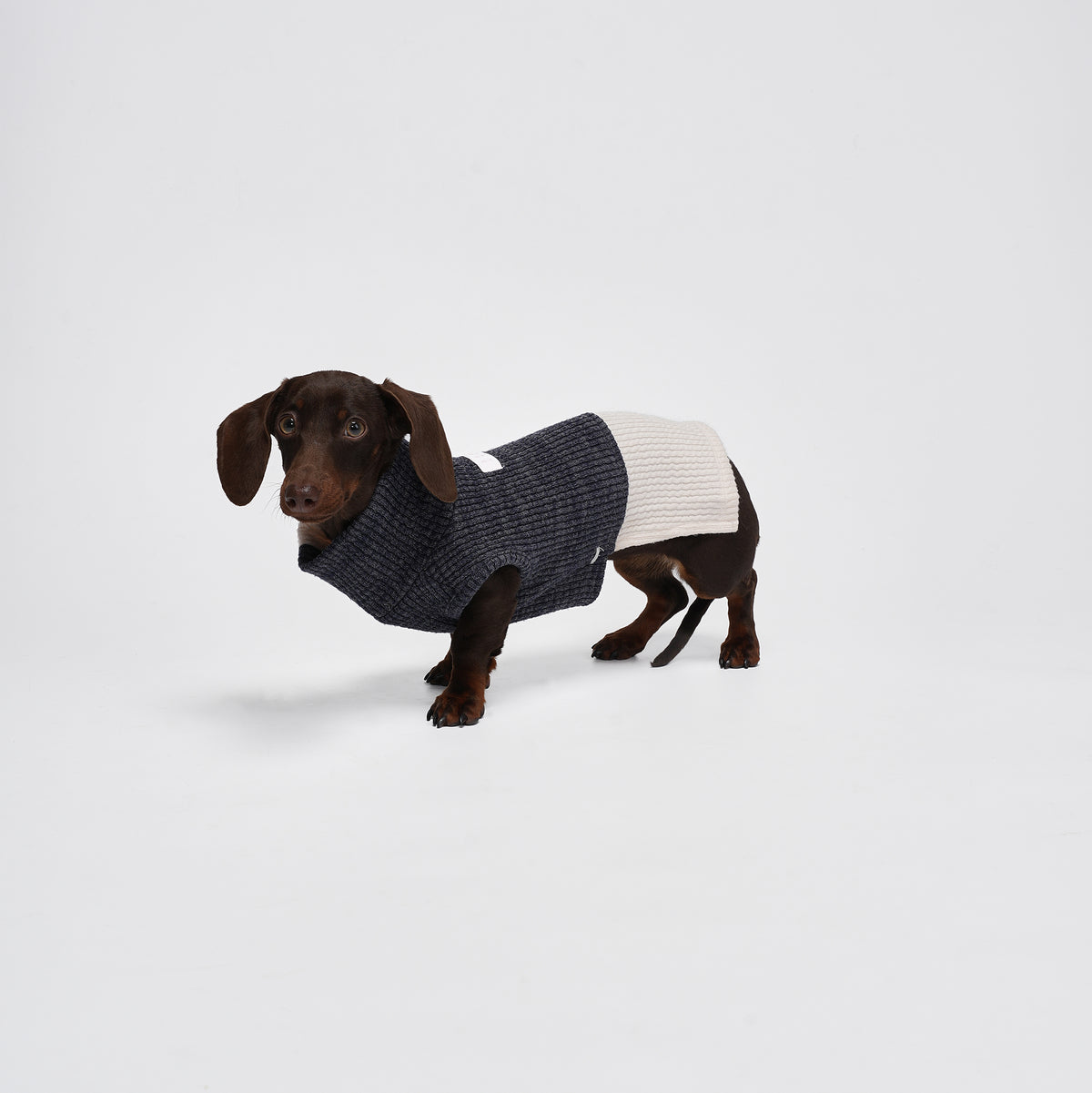 Charger Sports Vest