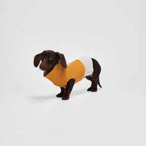 Charger Sports Vest
