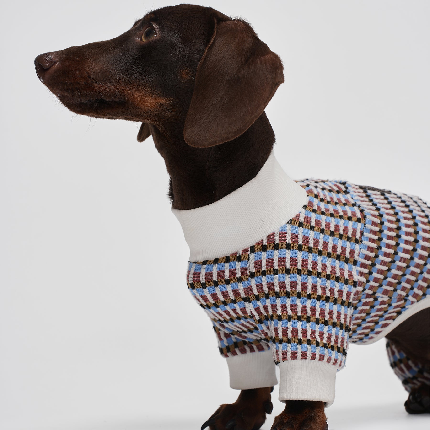 Shover Four-leg Jacket