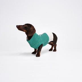 Charger Sports Vest