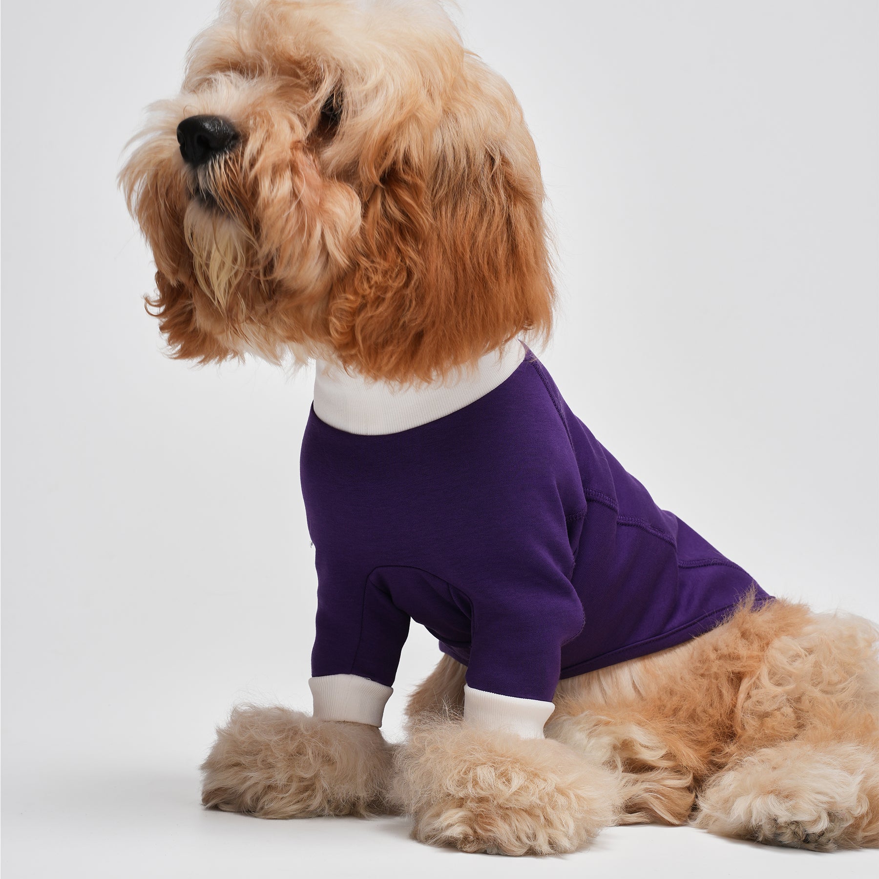 G-D French Turtleneck Sweatshirt