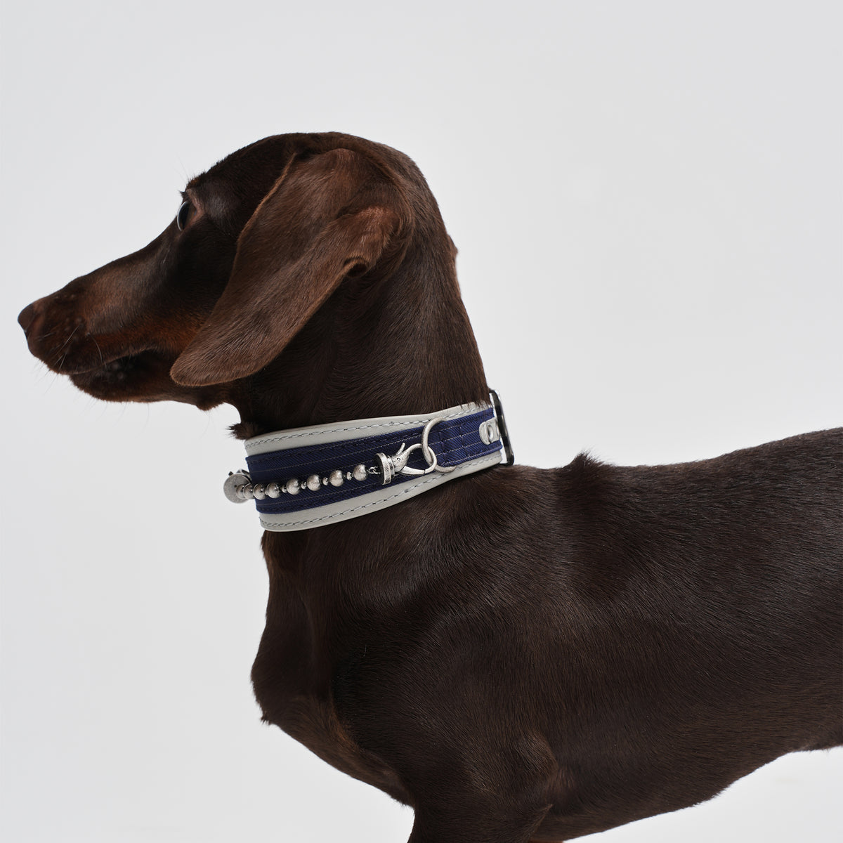 Kingsman Pinstripe Leather Collar