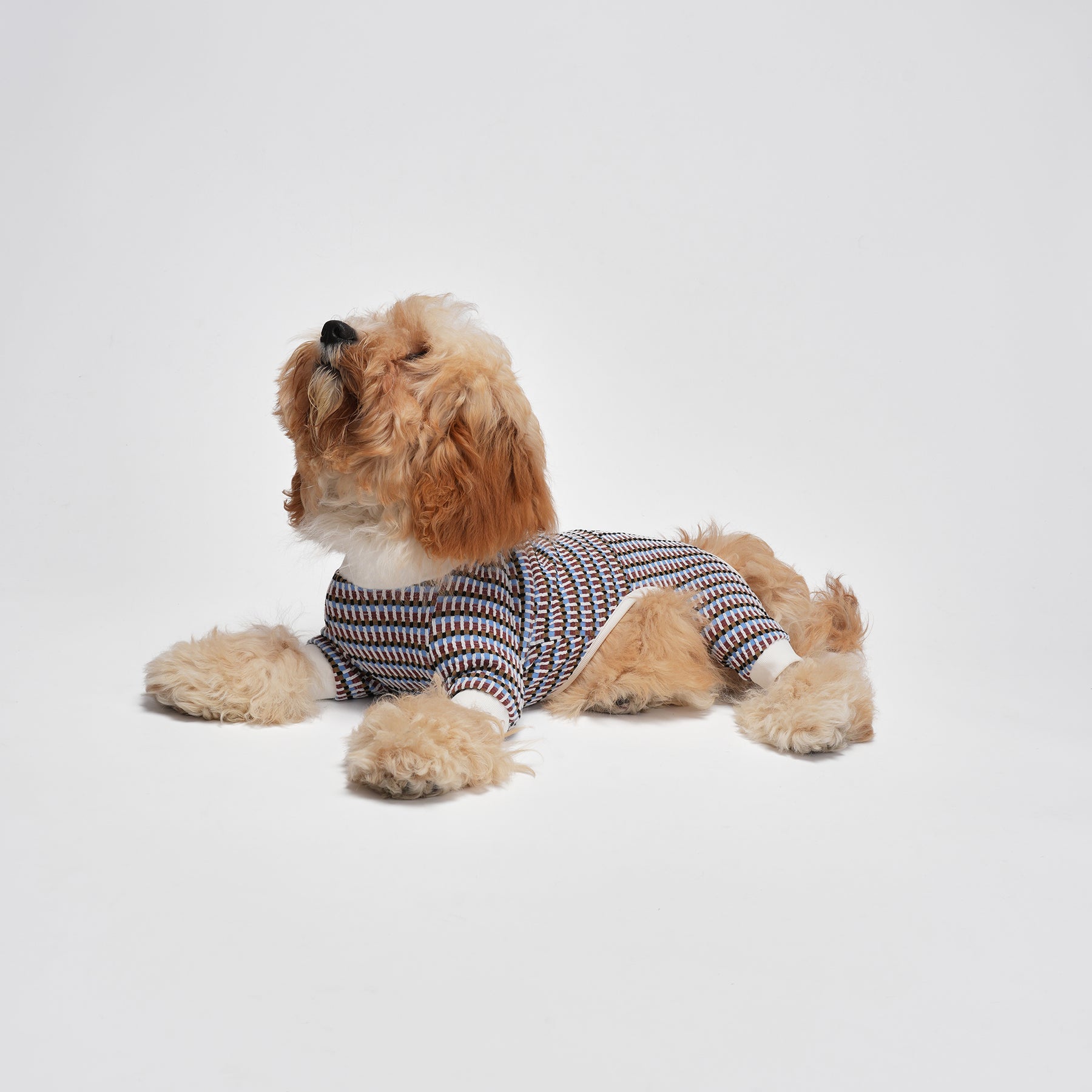 Shover Four-leg Jacket