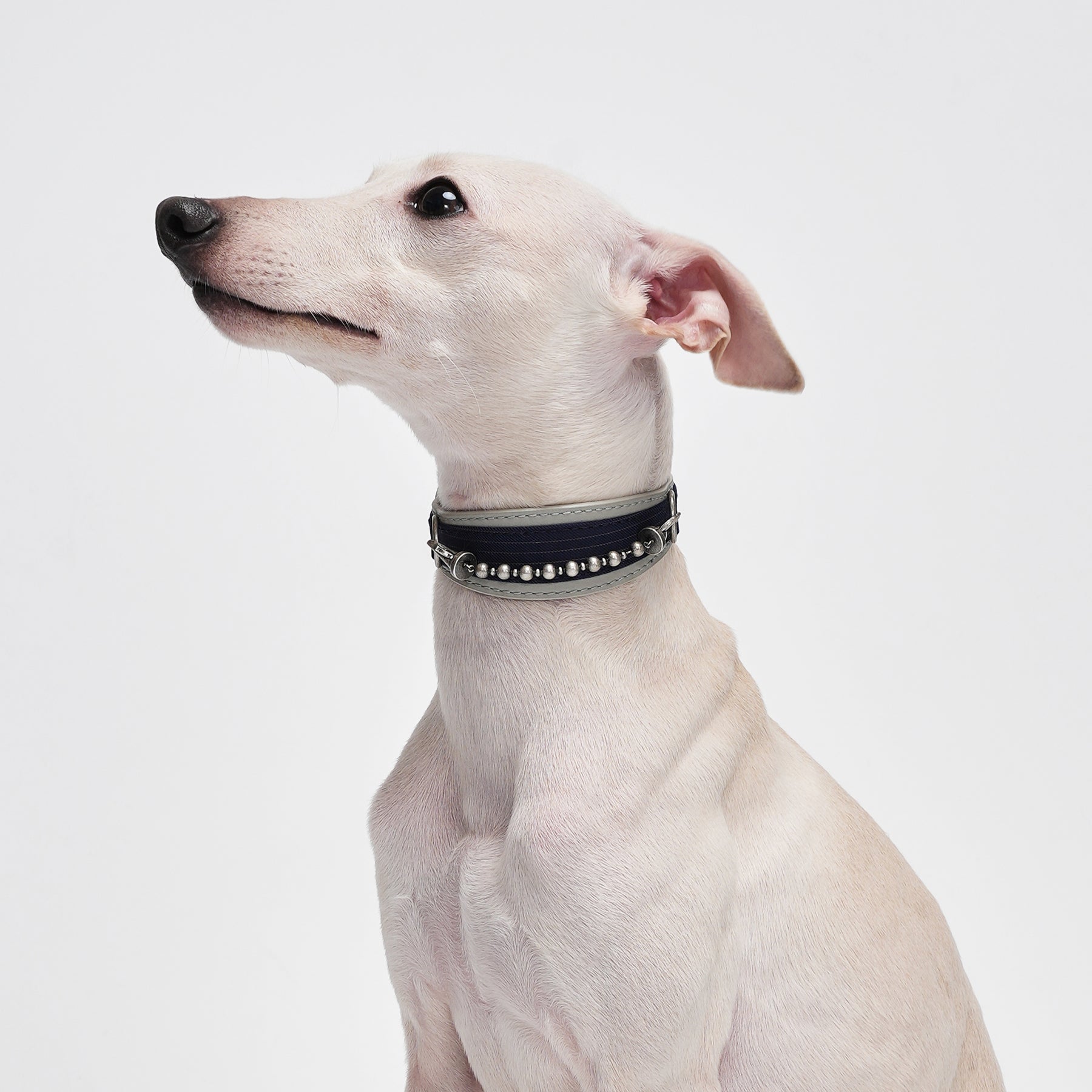 Kingsman Pinstripe Leather Collar