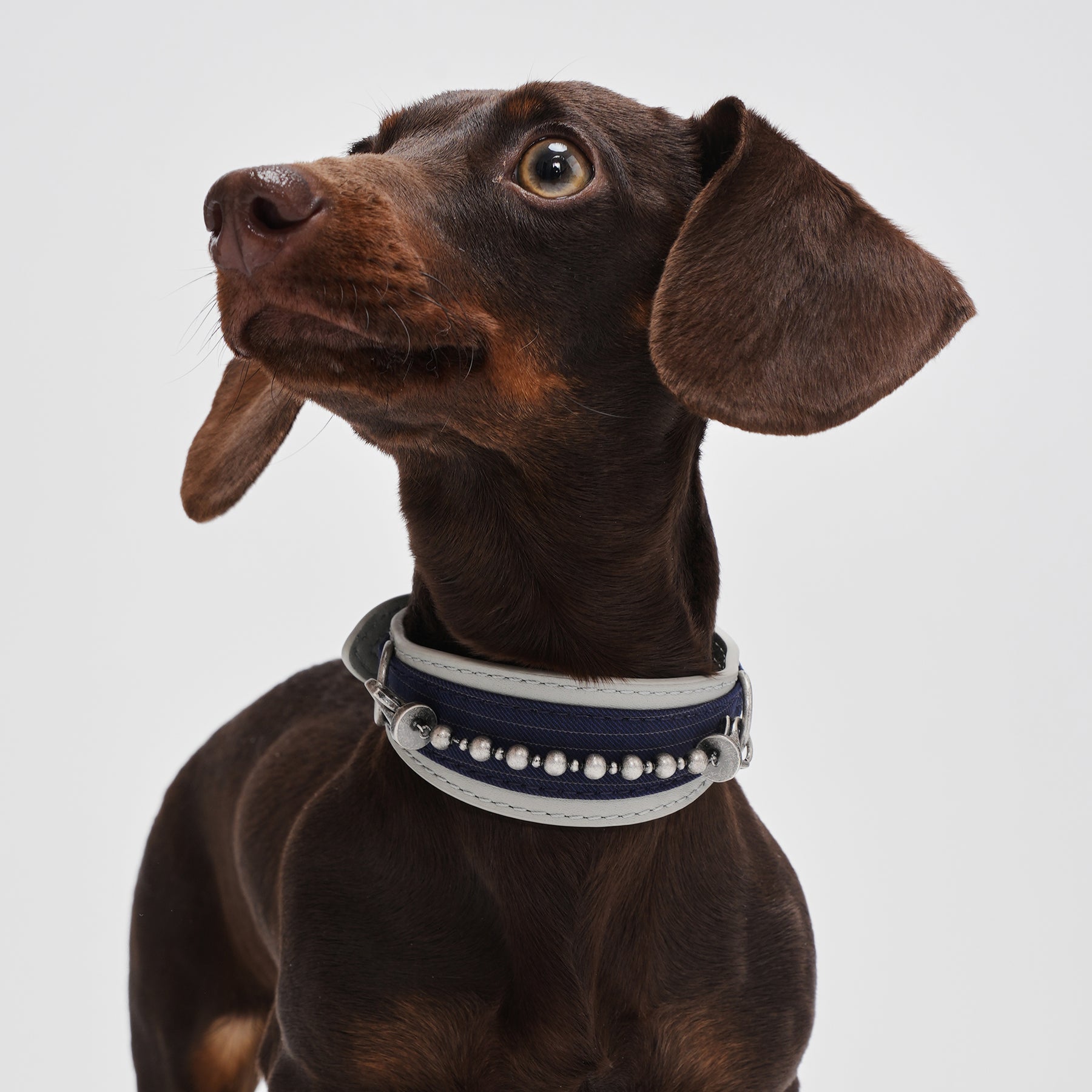 Kingsman Pinstripe Leather Collar