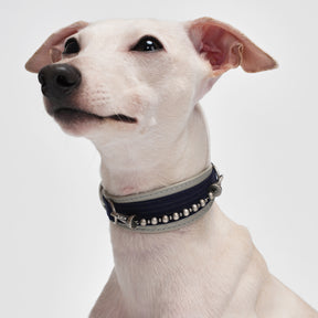Kingsman Pinstripe Leather Collar