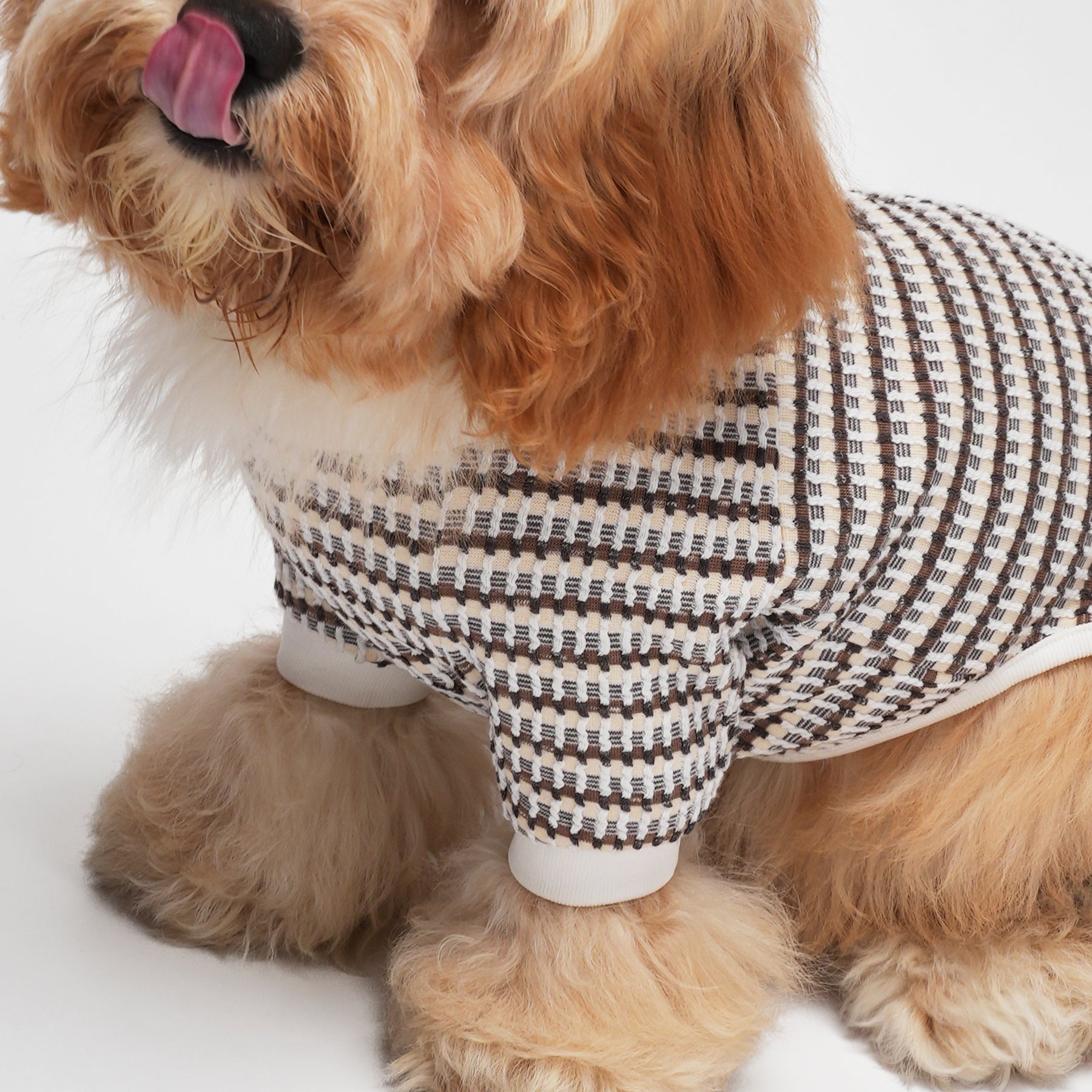 Shover Four-leg Jacket