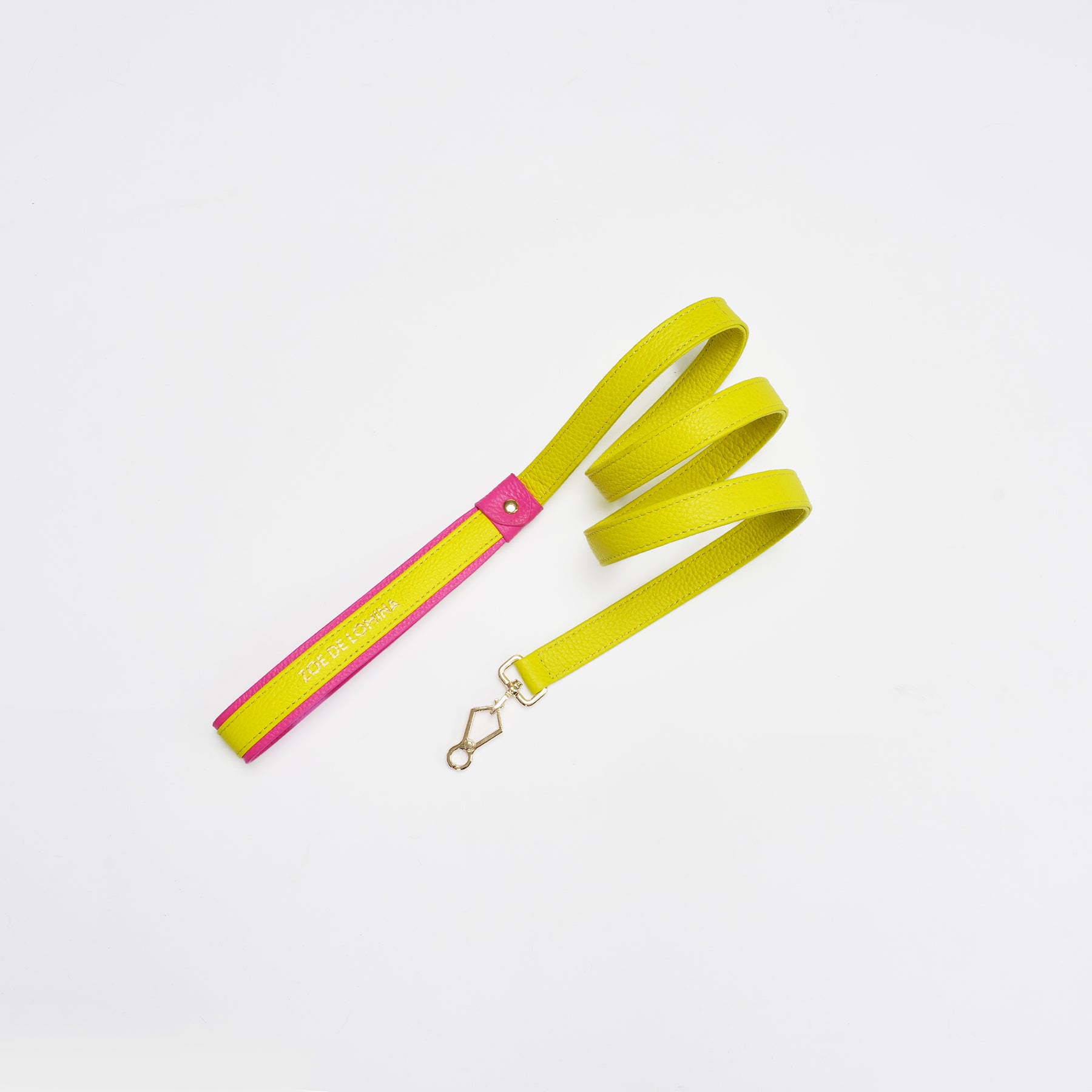 Le Symbole Pet Leash