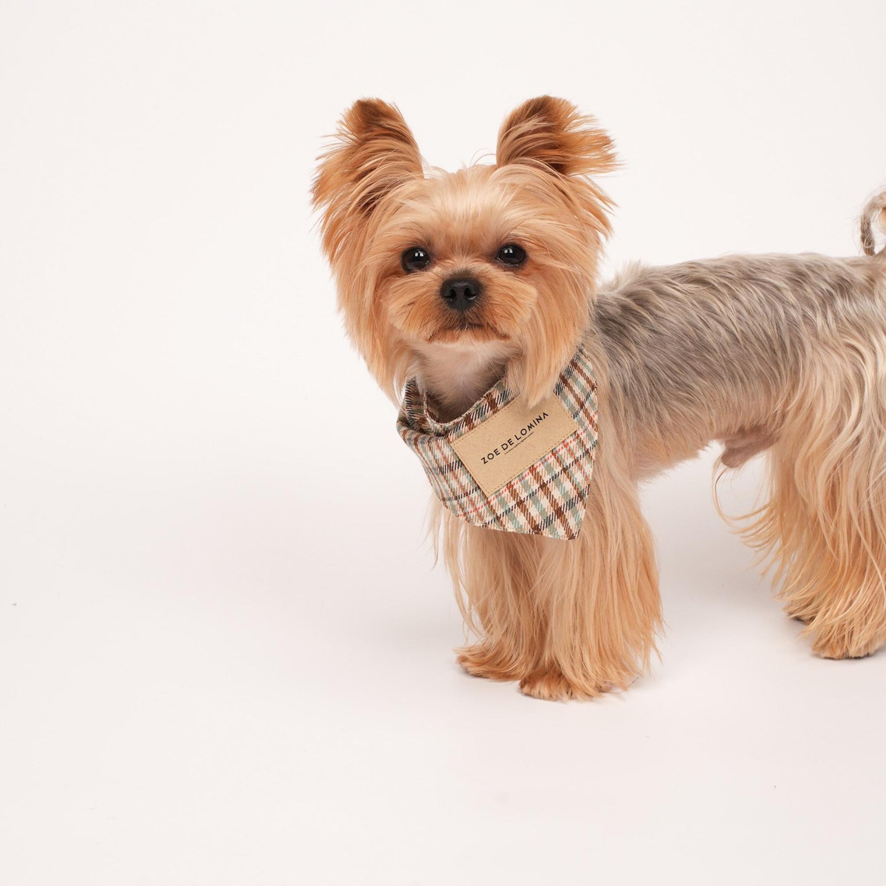 Qguard Sanitary Bibs