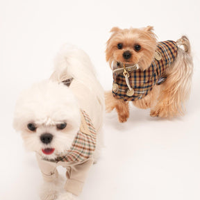 Qguard Sanitary Bibs