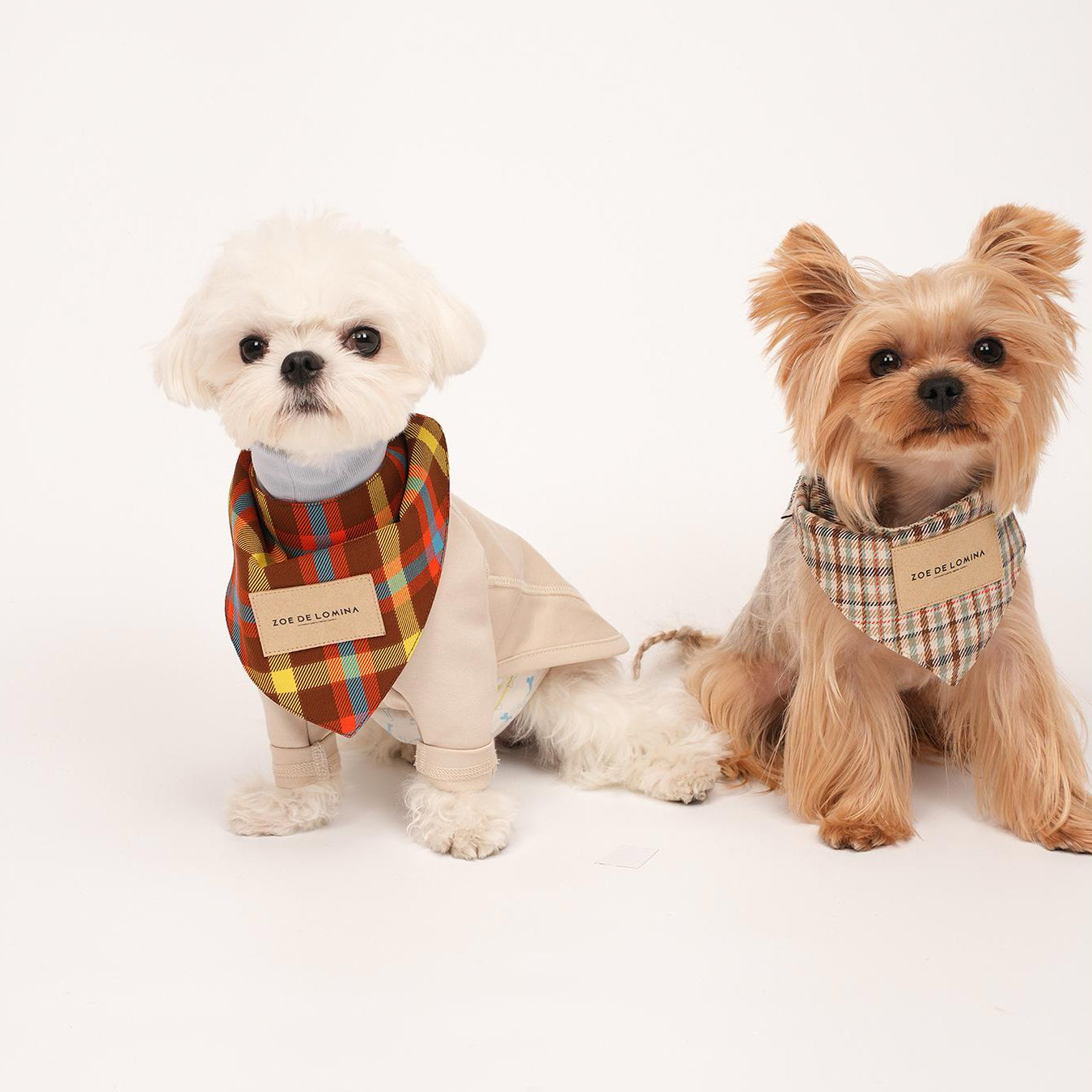 Qguard Sanitary Bibs