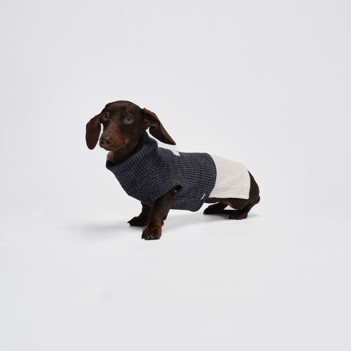 Charger Sports Vest